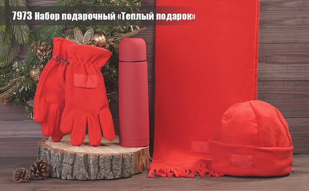 Набор подарочный "Теплый подарок" с логотипом в Белгороде заказать по выгодной цене в кибермаркете AvroraStore