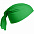 Многофункциональная бандана Dekko, зеленая с логотипом в Белгороде заказать по выгодной цене в кибермаркете AvroraStore
