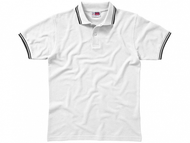 Рубашка поло "Erie" мужская с логотипом в Белгороде заказать по выгодной цене в кибермаркете AvroraStore