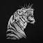 Свитшот мужской Like a Tiger, черный с логотипом в Белгороде заказать по выгодной цене в кибермаркете AvroraStore