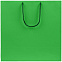 Пакет бумажный Porta, большой, зеленый с логотипом в Белгороде заказать по выгодной цене в кибермаркете AvroraStore