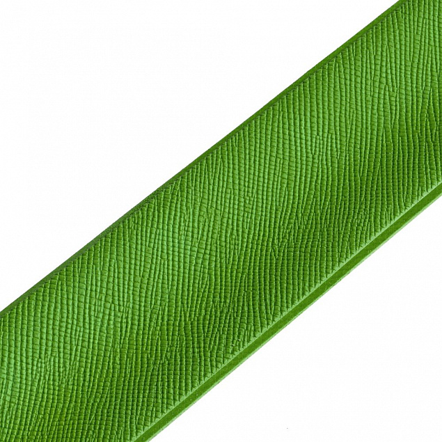 Браслет Wristler, зеленый с логотипом в Белгороде заказать по выгодной цене в кибермаркете AvroraStore
