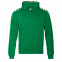 Толстовка Толстовка 20 Зелёный с логотипом в Белгороде заказать по выгодной цене в кибермаркете AvroraStore