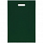 Чехол для пропуска Shall, зеленый с логотипом в Белгороде заказать по выгодной цене в кибермаркете AvroraStore