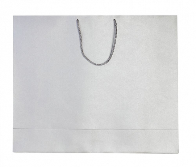 Пакет бумажный «Блеск», большой, серебристый с логотипом в Белгороде заказать по выгодной цене в кибермаркете AvroraStore