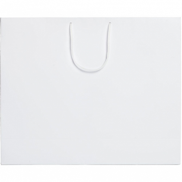 Пакет Ample L, белый с логотипом в Белгороде заказать по выгодной цене в кибермаркете AvroraStore