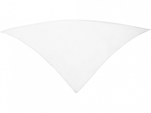 Шейный платок FESTERO треугольной формы с логотипом в Белгороде заказать по выгодной цене в кибермаркете AvroraStore