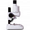 Бинокулярный микроскоп 1ST с логотипом в Белгороде заказать по выгодной цене в кибермаркете AvroraStore