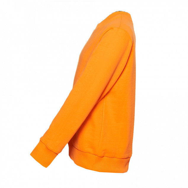 Толстовка  Оранжевый с логотипом в Белгороде заказать по выгодной цене в кибермаркете AvroraStore