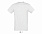 Фуфайка (футболка) REGENT мужская,Зеленый шалфей М с логотипом в Белгороде заказать по выгодной цене в кибермаркете AvroraStore