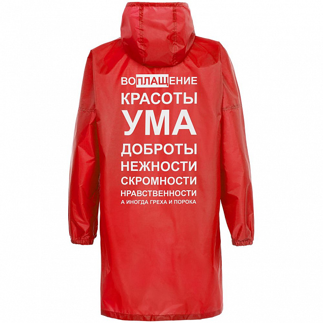 Дождевик «Воплащение всего», красный с логотипом в Белгороде заказать по выгодной цене в кибермаркете AvroraStore