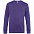 Свитшот унисекс King, фиолетовый с логотипом в Белгороде заказать по выгодной цене в кибермаркете AvroraStore
