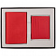Набор Devon mini, красный с логотипом в Белгороде заказать по выгодной цене в кибермаркете AvroraStore
