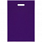Чехол для пропуска Shall, фиолетовый с логотипом в Белгороде заказать по выгодной цене в кибермаркете AvroraStore