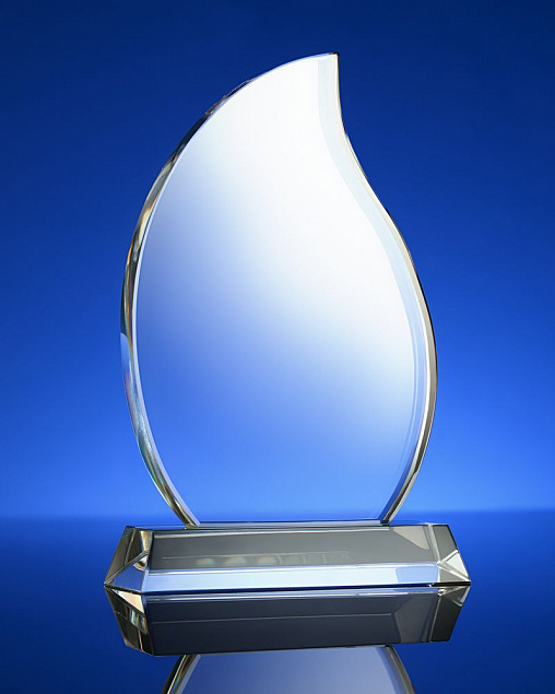 Награда Phoenix с логотипом в Белгороде заказать по выгодной цене в кибермаркете AvroraStore