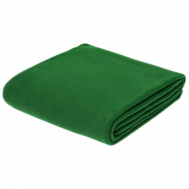 Флисовый плед Warm&Peace XL, зеленый с логотипом в Белгороде заказать по выгодной цене в кибермаркете AvroraStore