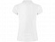 Рубашка поло Star женская, белый с логотипом в Белгороде заказать по выгодной цене в кибермаркете AvroraStore