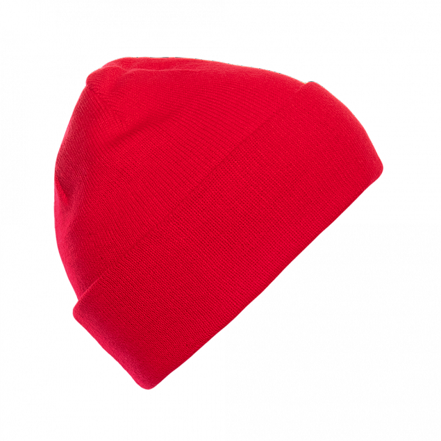Шапка 115 Красный с логотипом в Белгороде заказать по выгодной цене в кибермаркете AvroraStore