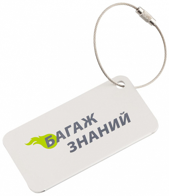 Бирка для багажа Aluminum с логотипом в Белгороде заказать по выгодной цене в кибермаркете AvroraStore