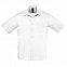 Рубашка мужская BRISTOL 105 с логотипом в Белгороде заказать по выгодной цене в кибермаркете AvroraStore