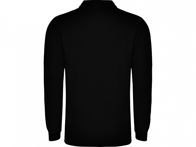 Рубашка поло «Carpe» мужская с длинным рукавом с логотипом в Белгороде заказать по выгодной цене в кибермаркете AvroraStore