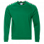 Толстовка StanSweatshirt Зелёный с логотипом в Белгороде заказать по выгодной цене в кибермаркете AvroraStore