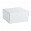 Коробка Piccolo, белая с логотипом в Белгороде заказать по выгодной цене в кибермаркете AvroraStore