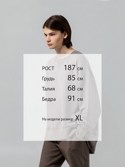Свитшот Kosmos, серый с логотипом в Белгороде заказать по выгодной цене в кибермаркете AvroraStore