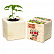 Набор для выращивания «Экокуб», перчик жгучий с логотипом в Белгороде заказать по выгодной цене в кибермаркете AvroraStore