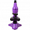 Монокулярный микроскоп Rainbow 50L с набором для опытов, фиолетовый с логотипом в Белгороде заказать по выгодной цене в кибермаркете AvroraStore