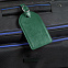 Бирка багажная Nebraska, зеленая с логотипом в Белгороде заказать по выгодной цене в кибермаркете AvroraStore