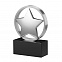 Статуэтка наградная "Звезда" с логотипом в Белгороде заказать по выгодной цене в кибермаркете AvroraStore