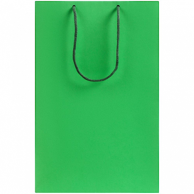 Пакет бумажный Porta M, зеленый с логотипом в Белгороде заказать по выгодной цене в кибермаркете AvroraStore