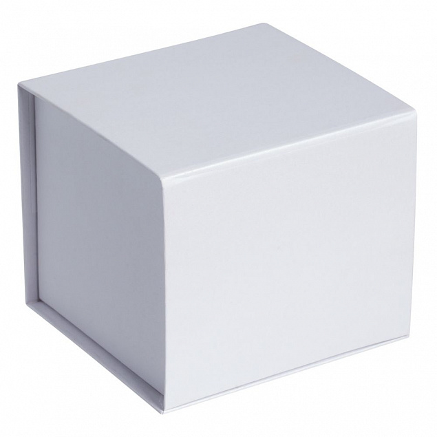 Коробка Alian, белая с логотипом в Белгороде заказать по выгодной цене в кибермаркете AvroraStore
