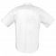 Рубашка мужская с коротким рукавом BRISBANE, белая с логотипом в Белгороде заказать по выгодной цене в кибермаркете AvroraStore