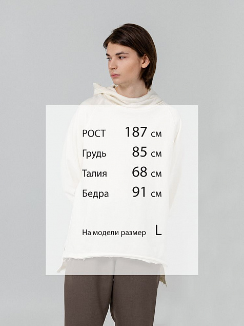 Худи Vozduh, белое с логотипом в Белгороде заказать по выгодной цене в кибермаркете AvroraStore