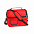Термосумка BEMEL, красный, 25 x 24 x 15 см, полиэстер 600D с логотипом в Белгороде заказать по выгодной цене в кибермаркете AvroraStore