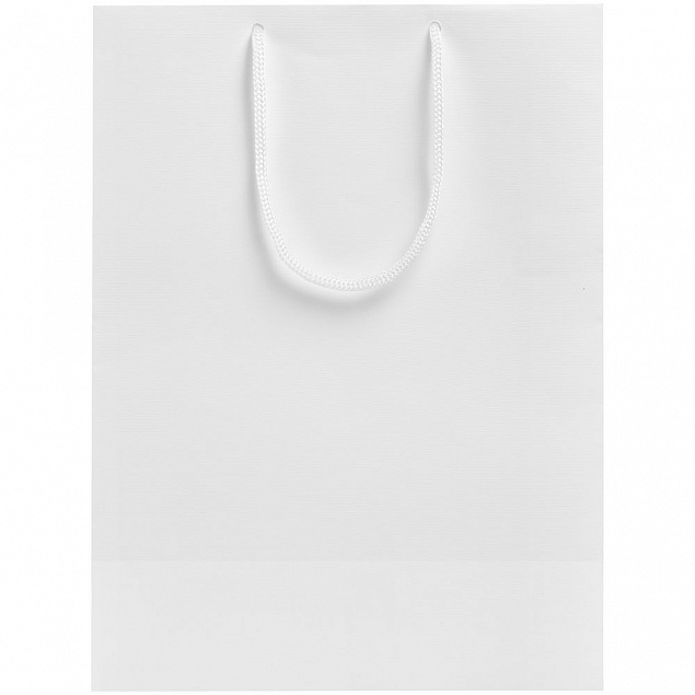 Пакет «Крафт», белый, M с логотипом в Белгороде заказать по выгодной цене в кибермаркете AvroraStore