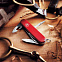 Офицерский нож SPARTAN 91, красный с логотипом в Белгороде заказать по выгодной цене в кибермаркете AvroraStore