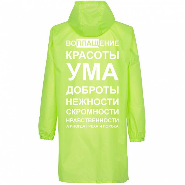 Дождевик «Воплащение всего», неоново-желтый с логотипом в Белгороде заказать по выгодной цене в кибермаркете AvroraStore