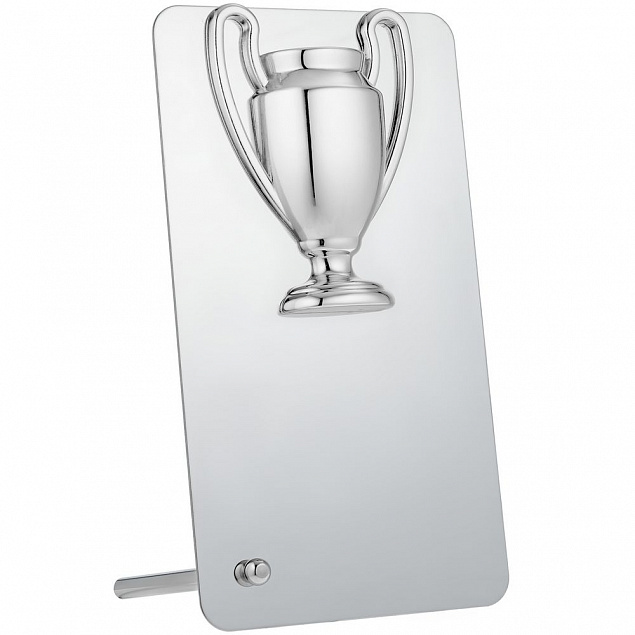 Награда Bowl Silver с логотипом в Белгороде заказать по выгодной цене в кибермаркете AvroraStore