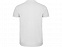 Рубашка поло Star мужская, белый с логотипом в Белгороде заказать по выгодной цене в кибермаркете AvroraStore