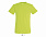 Фуфайка (футболка) REGENT мужская,Оранжевый 4XL с логотипом в Белгороде заказать по выгодной цене в кибермаркете AvroraStore