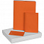 Набор Shall Travel, оранжевый с логотипом в Белгороде заказать по выгодной цене в кибермаркете AvroraStore