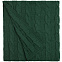 Плед Stille, зеленый с логотипом в Белгороде заказать по выгодной цене в кибермаркете AvroraStore