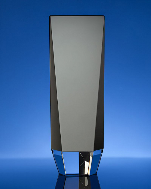 Награда Statum, малая с логотипом в Белгороде заказать по выгодной цене в кибермаркете AvroraStore