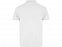 Рубашка поло Austral мужская, белый с логотипом в Белгороде заказать по выгодной цене в кибермаркете AvroraStore