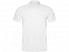 Рубашка поло Monzha мужская, белый с логотипом в Белгороде заказать по выгодной цене в кибермаркете AvroraStore