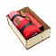 Подарочный набор Айзек, красный с логотипом в Белгороде заказать по выгодной цене в кибермаркете AvroraStore