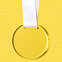 Медаль GLORY в подарочной упаковке, 70х66х5 мм, акрил с логотипом в Белгороде заказать по выгодной цене в кибермаркете AvroraStore